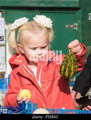 Slindon, West Sussex, Regno Unito. 25 ott 2015. 3 anno vecchio Kailani Mathieu avente Halloween divertente la scelta di zucche in Sussex sunshine a Slindon zucche, West Sussex. Credito: Julia Claxton/Alamy Live News Foto Stock