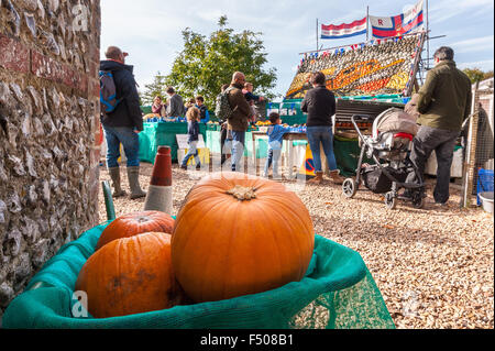 Slindon, West Sussex, Regno Unito. 25 ott 2015. Divertimento di Halloween scegliendo zucche in Sussex sunshine a Slindon zucche, West Sussex. Credito: Julia Claxton/Alamy Live News Foto Stock