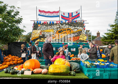 Slindon, West Sussex, Regno Unito. 25 ott 2015. Divertimento di Halloween e visualizzare in aiuto di RNLI realizzato con zucche in Sussex sunshine a Slindon zucche, West Sussex. Credito: Julia Claxton/Alamy Live News Foto Stock