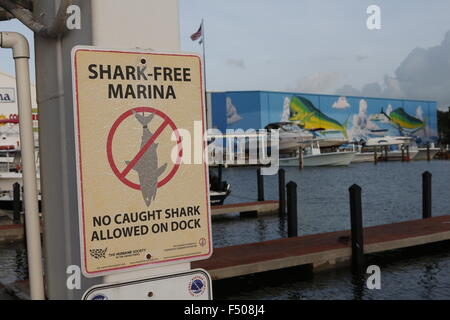 Un 'Shark libera Marina' segno di avvertimento posted in Florida Keys Foto Stock