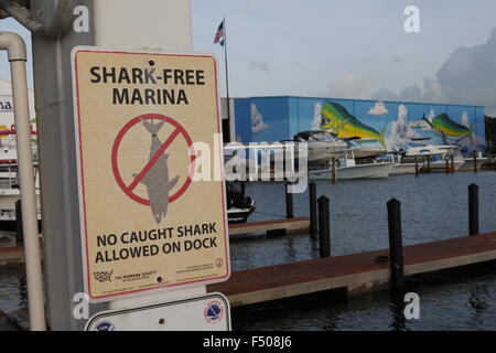 Un 'Shark libera Marina' segno di avvertimento posted in Florida Keys Foto Stock