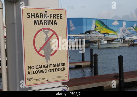 Un 'Shark libera Marina' segno di avvertimento posted in Florida Keys Foto Stock