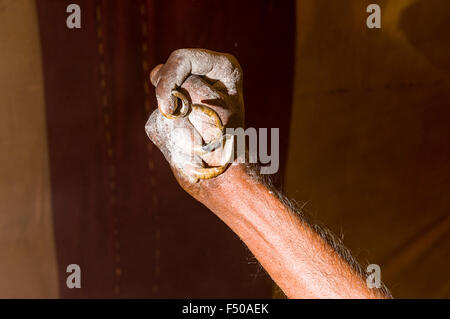 Crippled mano di shiva sadhu da juna akhara, uomo santo, praticando urdha tapa, sollevamento braccio ohne per molti anni per spirituale Foto Stock