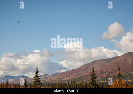 Vedute panoramiche da Denali parco dello stato su George Parks Highway, Alaska Foto Stock