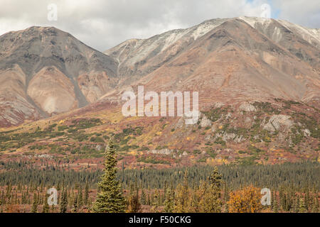 Vedute panoramiche da Denali parco dello stato su George Parks Highway, Alaska Foto Stock