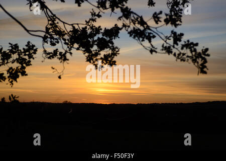 Autunno nella campagna britannica - le foglie di un albero di quercia sono silhouette contro il sole che tramonta in autunno nel parco di Sheffield Park a Uckfield, East Sussex, Inghilterra. Foto Stock