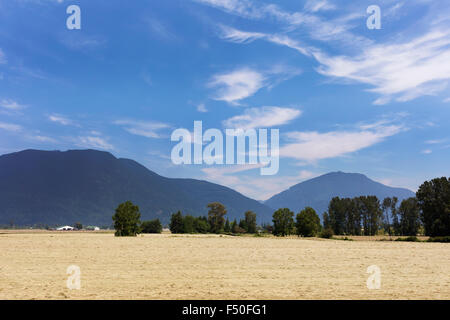 Terreni agricoli in primavera, nei pressi di missione, BC Foto Stock