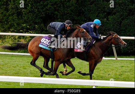 Lexington, KY, Stati Uniti d'America. 25 ott 2015. Ottobre 25, 2015: Sheikh degli sceicchi (esterno) e la nozione di Ruby (interno) lavori in preparazione per il costitutore's Cup. Credito: Cal Sport Media/Alamy Live News Foto Stock