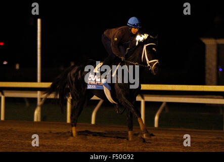 Lexington, KY, Stati Uniti d'America. 25 ott 2015. Ottobre 25, 2015: Azar, addestrati da Todd Pletcher e proprietà di alto Racing, è iscritto al costitutore's Cup capretti Turf. Credito: Cal Sport Media/Alamy Live News Foto Stock