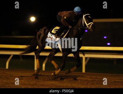 Lexington, KY, Stati Uniti d'America. 25 ott 2015. Ottobre 25, 2015: Azar, addestrati da Todd Pletcher e proprietà di alto Racing, è iscritto al costitutore's Cup capretti Turf. Credito: Cal Sport Media/Alamy Live News Foto Stock