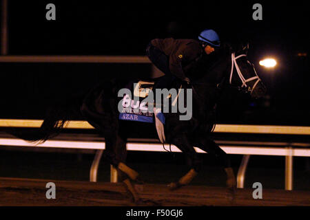 Lexington, KY, Stati Uniti d'America. 25 ott 2015. Ottobre 25, 2015: Azar, addestrati da Todd Pletcher e proprietà di alto Racing, è iscritto al costitutore's Cup capretti Turf. Credito: Cal Sport Media/Alamy Live News Foto Stock