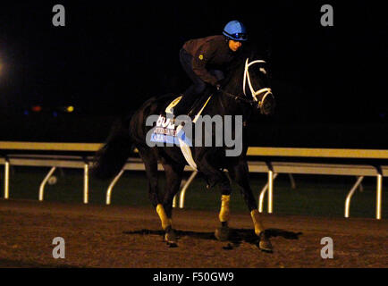 Lexington, KY, Stati Uniti d'America. 25 ott 2015. Ottobre 25, 2015: Azar, addestrati da Todd Pletcher e proprietà di alto Racing, è iscritto al costitutore's Cup capretti Turf. Credito: Cal Sport Media/Alamy Live News Foto Stock