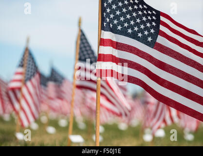 Migliaia di bandierine americane su un prato a ricordare 9/11 e i soldati e i veterani del noi la guerra al terrore Foto Stock