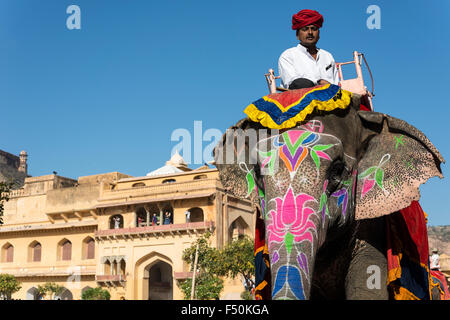 Verniciato colorato testa di un elefante, tenendo i turisti in una corsa fino ai palazzi del forte amber Foto Stock