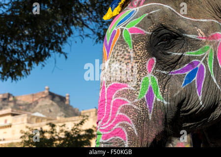 Verniciato colorato testa di un elefante, tenendo i turisti in una corsa fino ai palazzi del forte amber Foto Stock