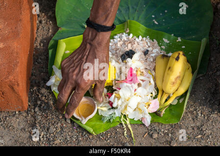 Prasad offerte come le banane, il riso e il ghee per ottenere cotti, sono impostati in una strada trafficata durante il festival pongala Foto Stock