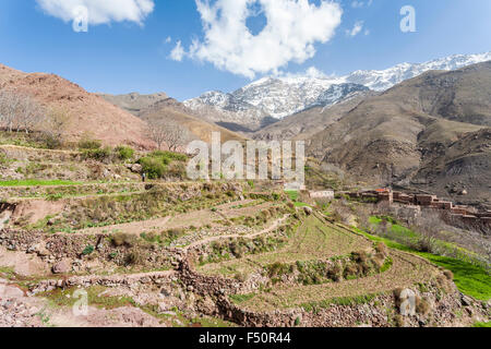 Berber remoto villaggio di montagna e terrazzamenti, Alto Atlante, Marocco, Africa settentrionale Foto Stock