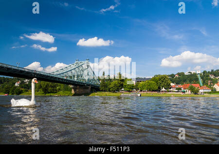 La meraviglia blu ponte che attraversa il fiume Elba, township loschwitz sull'altro lato Foto Stock