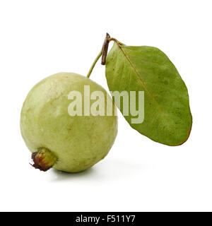 Frutto guava isolato su bianco Foto Stock