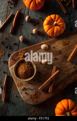 Materie organiche di spezie di zucca con cannella pepe della Giamaica la noce moscata e zenzero Foto Stock