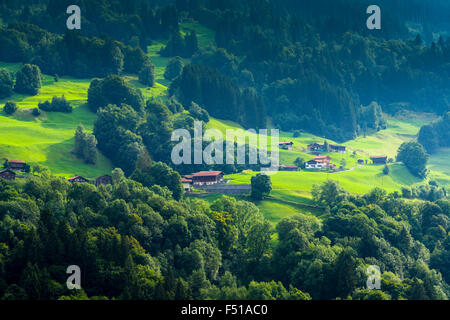 Alcune case di contadini si trovano nel verde collinare campi, circondata da una foresta Foto Stock