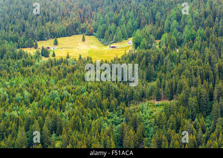 Alcune case di contadini si trovano nel verde collinare campi, circondata da una foresta Foto Stock