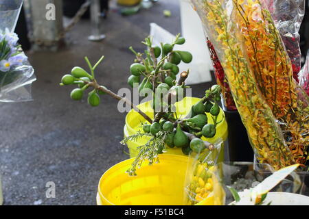 Giovani fig frutti per la vendita in un mercato locale Foto Stock