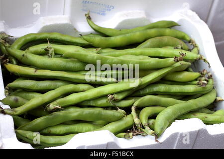 Styrofoam scatola riempita con le fave per la vendita su un mercato Foto Stock