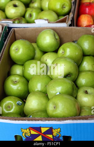 Le mele Granny Smith in una scatola per la vendita Foto Stock