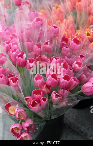 Rosa fresca e tulipani arancione per la vendita su un mercato Foto Stock