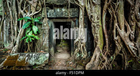 Antica porta di pietra e grafi ad albero, Ta Prohm tempio Foto Stock