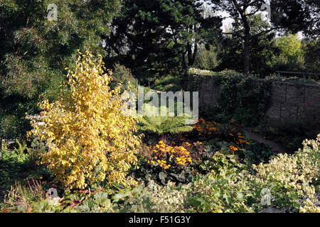 RHS HYDE HALL. Il giardino di ROBINSON in autunno. Foto Stock