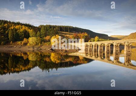 I colori autunnali che mostra nell'Elan Valley Galles centrale in Powys su una mattina ancora Foto Stock