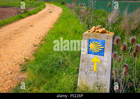 Il modo di Saint James segno della shell e freccia gialla in Castilla Leon di Spagna Foto Stock