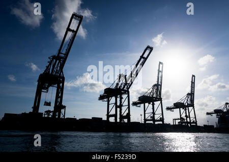 Silhouette di una gru a nave porta del. Il Santos, São Paulo, Brasile Foto Stock