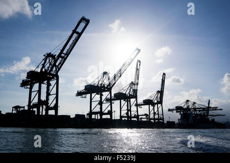 Silhouette di una gru a nave porta del. Il Santos, São Paulo, Brasile Foto Stock