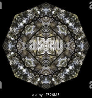 Un'immagine caleidoscopica Foto Stock
