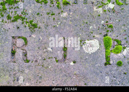 Segno del cimitero R.I.P. riposi in pace su pietra Foto Stock