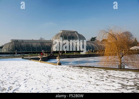 Kew Gardens Palm House di neve lago ghiacciato in primo piano Londra Inghilterra REGNO UNITO Foto Stock