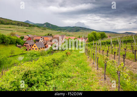 Hunawihr, Haut-Rhin, Alsazia, Francia, Europa Foto Stock