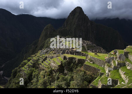 Rovine di Machu Picchu, periodo Inca, circa il XV secolo Foto Stock