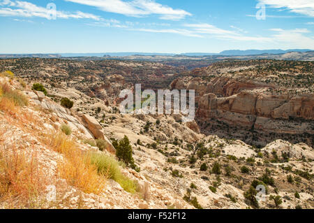 Vista in grande scala Escalante National Monument, Utah, Stati Uniti d'America Foto Stock