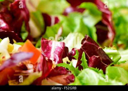 Ingrandimento di una piastra con una insalata verde, realizzata con un mix di assortimento di foglie di insalata Foto Stock