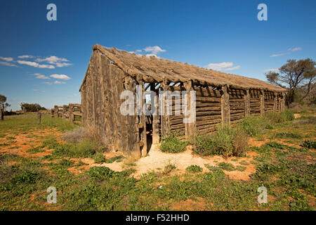 Vecchia stalla costruita da nativo cypress pino, circondato da vegetazione verde dopo la pioggia a abbandonato homestead, outback Australia Foto Stock
