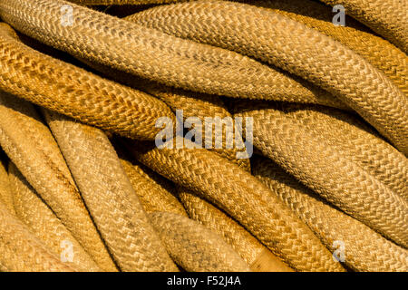 Tangled funi Marine Foto Stock