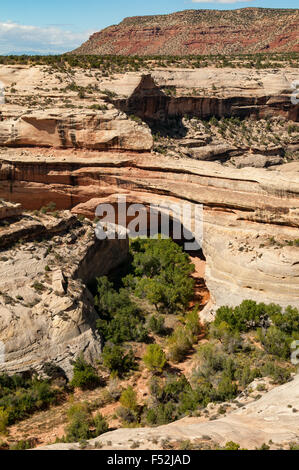 Kachina Bridge, ponti naturali monumento nazionale, Utah, Stati Uniti d'America Foto Stock