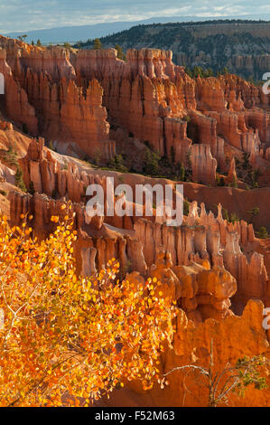 Vista sul sentiero Navajo, Bryce Canyon dello Utah, Stati Uniti d'America Foto Stock