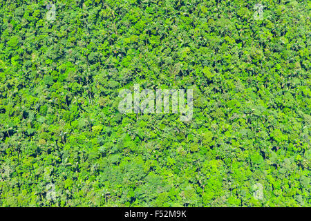 La foresta pluviale andina Riprese aeree Foto Stock