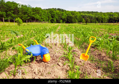 Costruzione di strumenti giocattolo in una primitiva Agricoltura non sviluppata Foto Stock