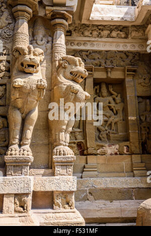 Lion e delle divinità bassorilievo di sanstone nel tempio indù, Kanchipuram, India Foto Stock